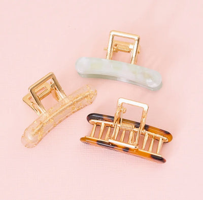 Chic Mini Claw Clip Set