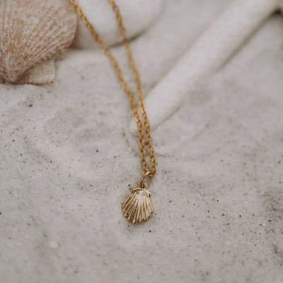 Sea Shell Necklace