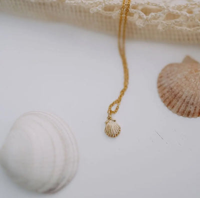 Sea Shell Necklace