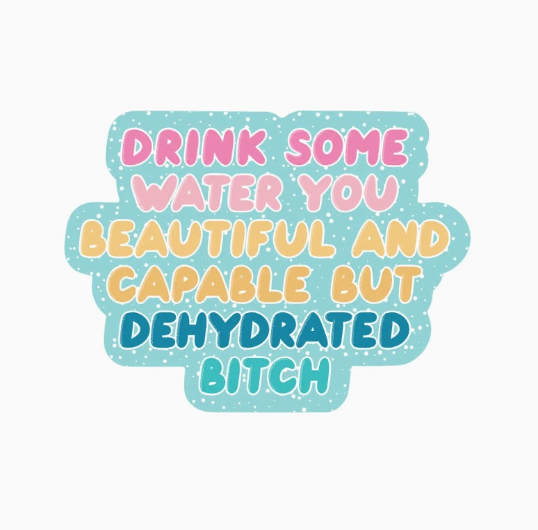 Dehydrated B*tch vinyl sticker