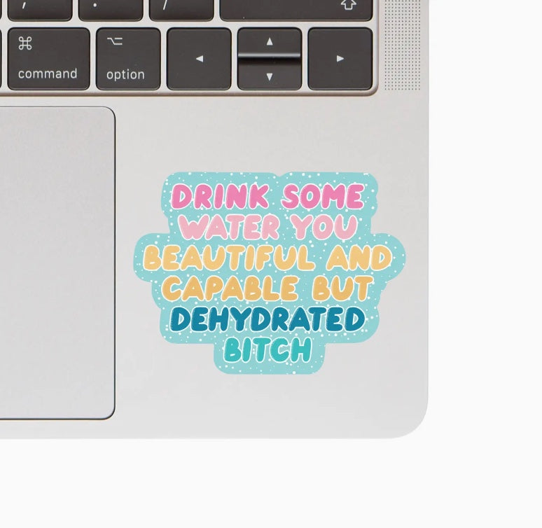 Dehydrated B*tch vinyl sticker