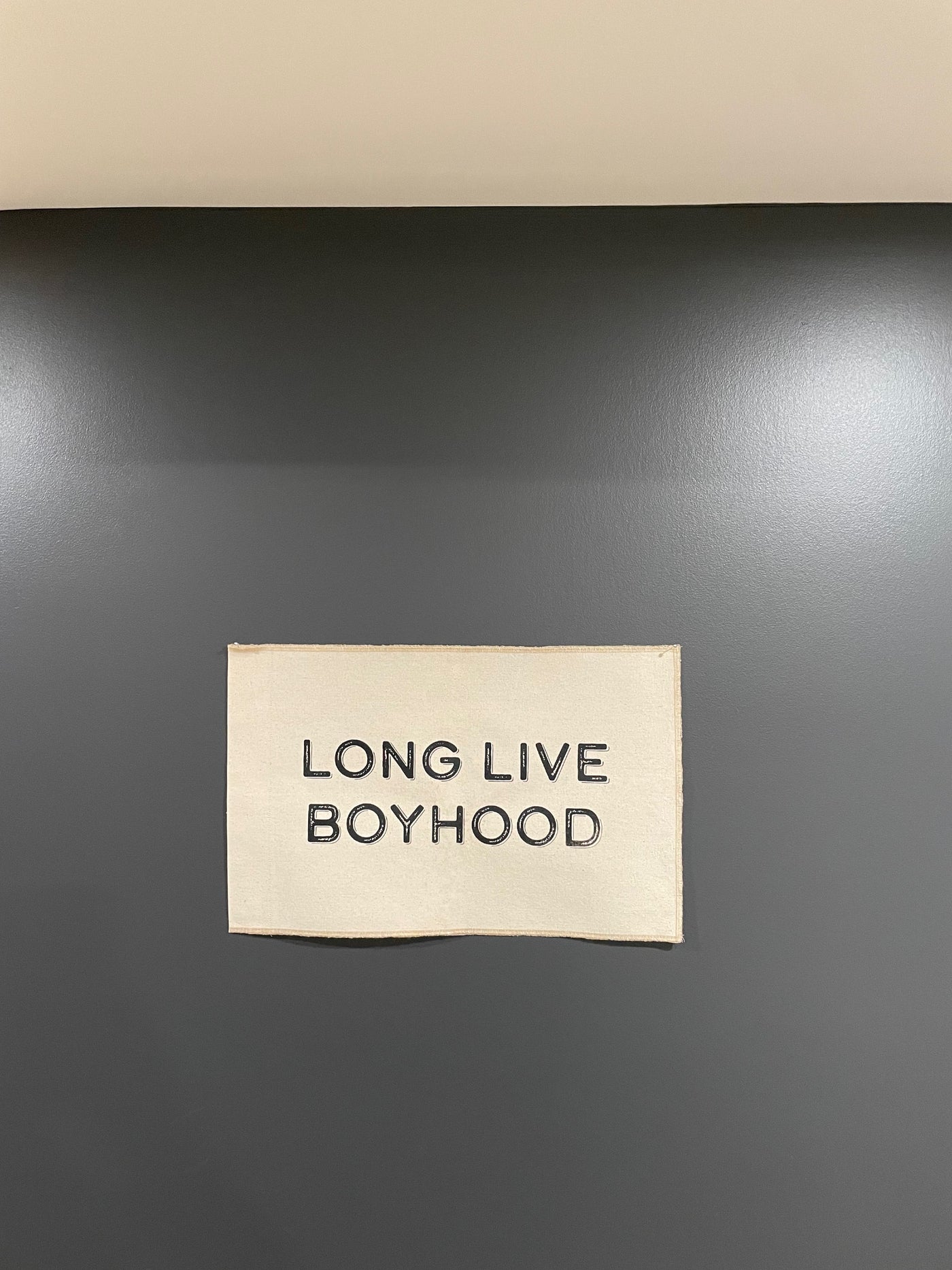 Long Live Boyhood Flag