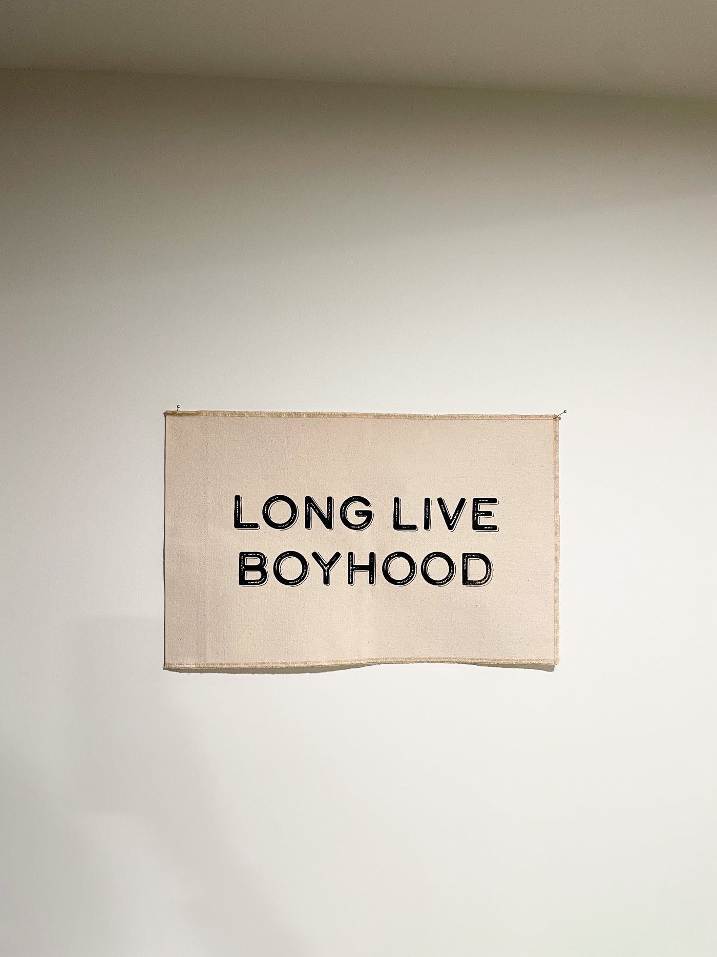 Long Live Boyhood Flag
